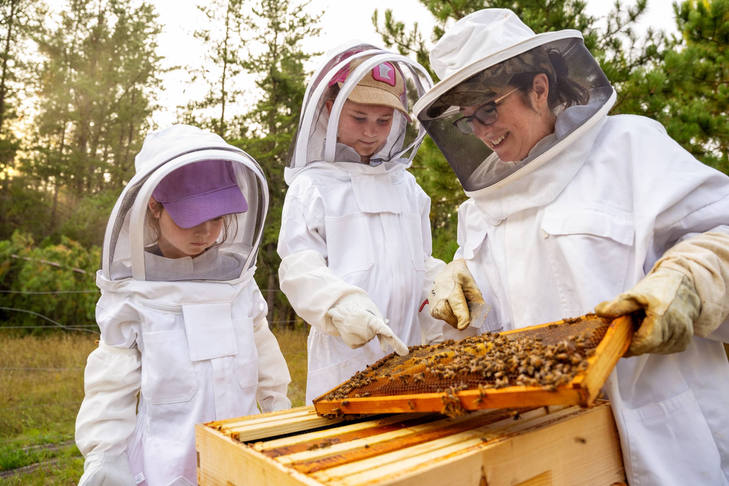 Beekeeping
